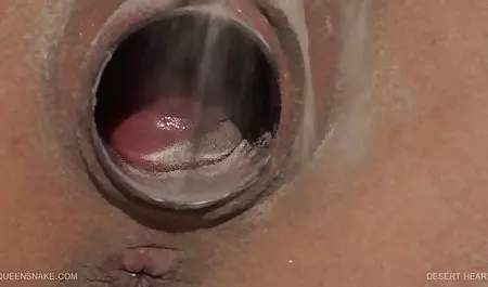 阿丽亚娜玛丽的猫咪获取假Creampies